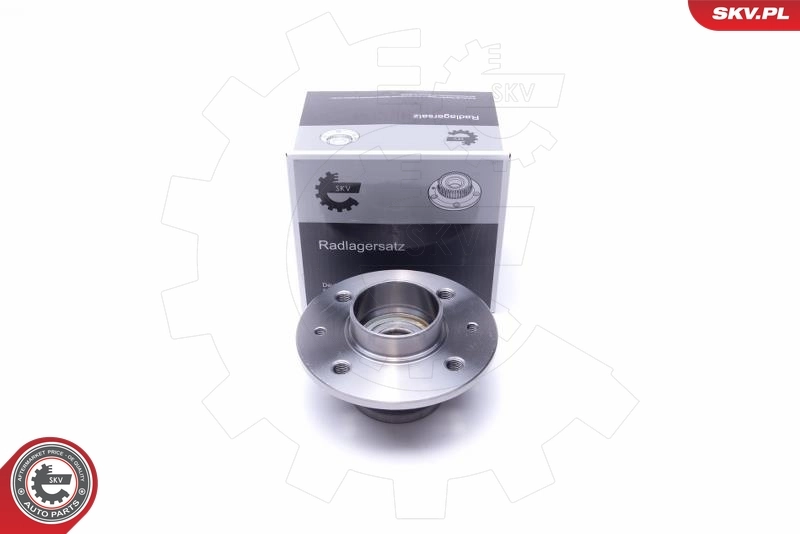 Wheel Bearing Kit